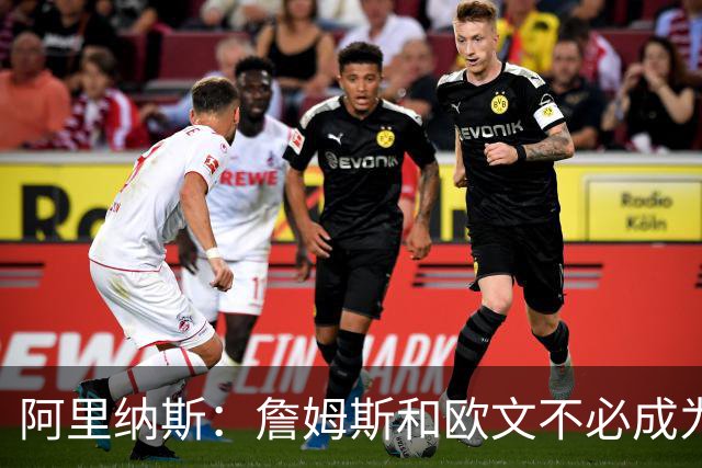 阿里纳斯：詹姆斯和欧文不必成为最好的朋友才能成为好搭档